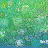 WP16-JulySucculents-500pxopt.png